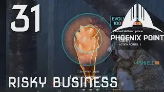 31 - Risky Business - Phoenix Point