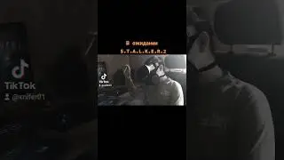 STALKER #shorts #stalker #vidiogames