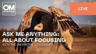 English | Ask me anything: The Focus Episode 2.0