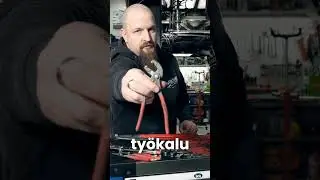 Talli on reviirisi – pihdit