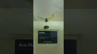 ANT-Man and The Wasp (2018) | Action Figures | KCC Multiplex 