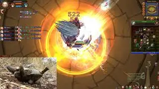 Fiesta Online HorizoN & Co. KG
