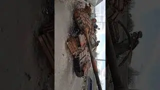 Житомирская траса на Киев