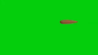 Bullet 1