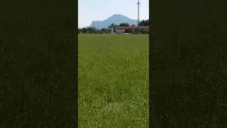 Краса Альп.