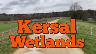 Kersal Wetlands, Salford, Greater Manchester, UK | January 2024