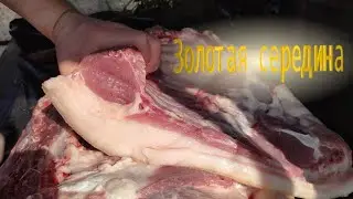 ЗОЛОТАЯ СЕРЕДИНА  называю таких СВИНЕЙ || Забой поросёнка 10 месяцев