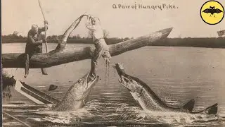 The 10 Most Terrifying and Mysterious Old Photos in History.