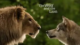 The Wolf and the Lion Movie Score Suite - Armand Amar  (2021)
