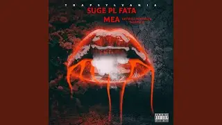 SUGE PL FATA MEA (INTERZIS MINORILOR VALAHIA 2)