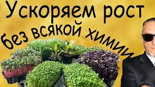 Вы не поверите, но это работает.