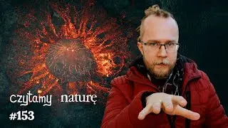 Wrinkles on a Donut - Earthquakes in Volcanoes - Artificial Duck | Reading Nature 