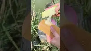 선인장 밀크테라피, 사용해보신 적 있으신가요 선인장 접목 기술