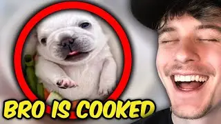 If I Laugh 3 TIMES, The Video ENDS!