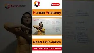 Upper Limb Anatomy #neet#anatomy #anatomyshorts#youtubeshorts#anatomyvideos#viral