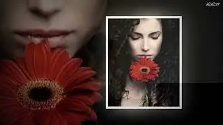 Feelings   Ernesto Cortazar *****