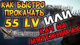 Black Desert: Как быстро прокачать 55 lv или кач на МЯТЕЖНИКАХ?