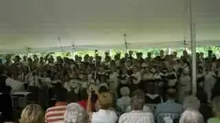 Suvihari 2008