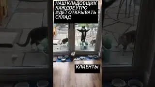 КАЖДОЕ УТРО #видеонаблюдение #нейросети