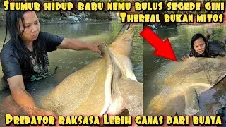 BERGULAT DENGAN BULUS RAKSASA TERBESAR DI BUMI BERBOBOT 200KG