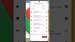 Google Chrome Secret history clear 