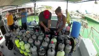 Scuba Dive Key West with Captain's Corner