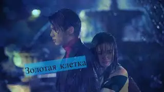 Клетка l Сад падающих звёзд