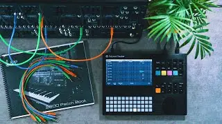 Korg ARP 2600 M Sequenced and Accompanied by the Polyend Tracker