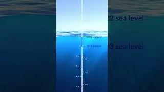 Как изменился уровень воды в Мировом океане за 30 лет? Анимация
