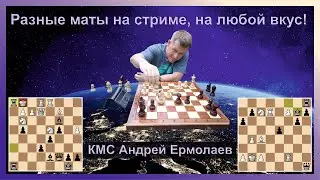 Новая рубрика, красивые маты на стриме!