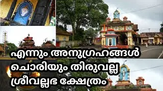 ശബരിമലയിലെ സ്വർണകൊടിമരം പണിതവർ ദാ നമ്മുടെ തിരുവല്ലയിൽ പണി തുടങ്ങി കെട്ടോ //Sreevallabha kshetram