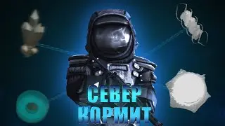 STALCRAFT | ПРОКЛЯТЫЙ ЗАСТОЙ | ВЫНОСЫ