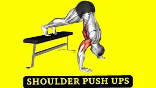 7 Best Shoulder Push-Ups