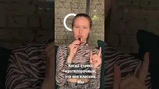 Как формируется хронический стресс