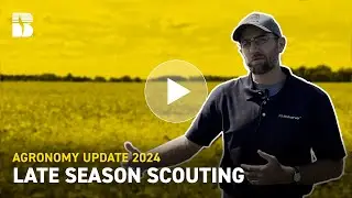 Late Season Scouting