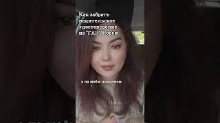 Автоледи в Корее