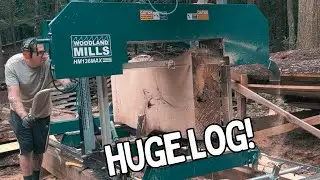 Milling a HUGE Log FULL OF ANTS! Woodland Mills HM136MAX