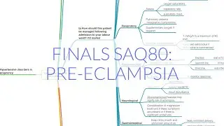 FINALS SAQ 80: PRE ECLAMPSIA