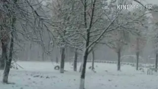 Весна 2017 (21 Апреля)