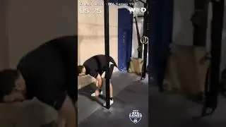 19.3