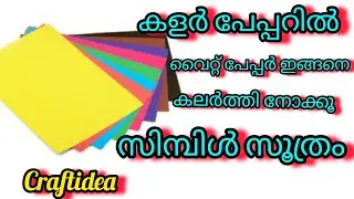 ഇവർ രണ്ടു പേരും തമ്മിൽ കിടിലൻ ചേർച്ചയാ/ഇതാണ് സിമ്പിൾ വെറെറ്റി ഐറ്റം/Color peppar craft/walldecor