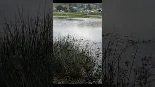 El PESCADOR  Buscando tesoros lugar peligroso 