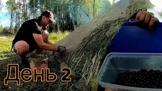 ДЕНЬ2/10 Роблю дах, риба не ловиться, черешні рятують ситуацію, вітер ламає дерева, все заїб...