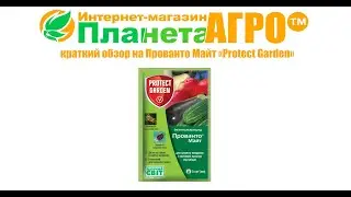 🐛 Краткий обзор на Прованто Майт 