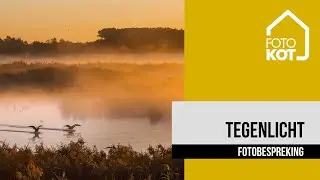 Fotobespreking Tegenlicht (mei 2022)