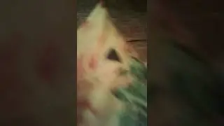 Первый в мире пранк какашкой над таджиком