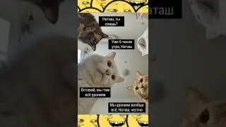 Мем про Наташу 