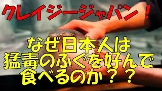 【海外の反応】外国人、ふぐにビビりすぎ！日本人はなぜ、猛毒のあるふぐを食べるのか？！