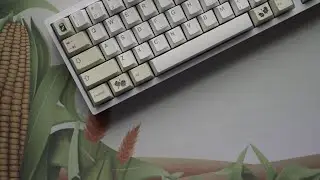 PolyCaps Corn PBT Keycaps First Impressions