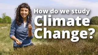 How do scientists study climate change? | Slowing global warming | Studying Biosciences at Sheffield